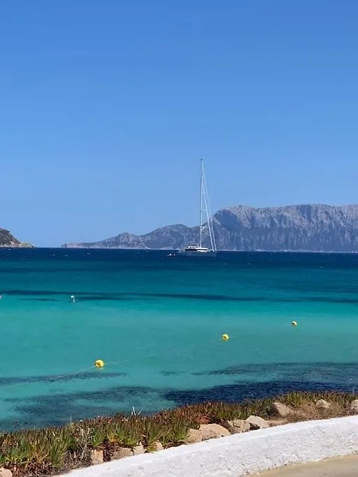 Baia Caddinas Casa Con Vista Mare Golfo Aranci Villa Holiday home